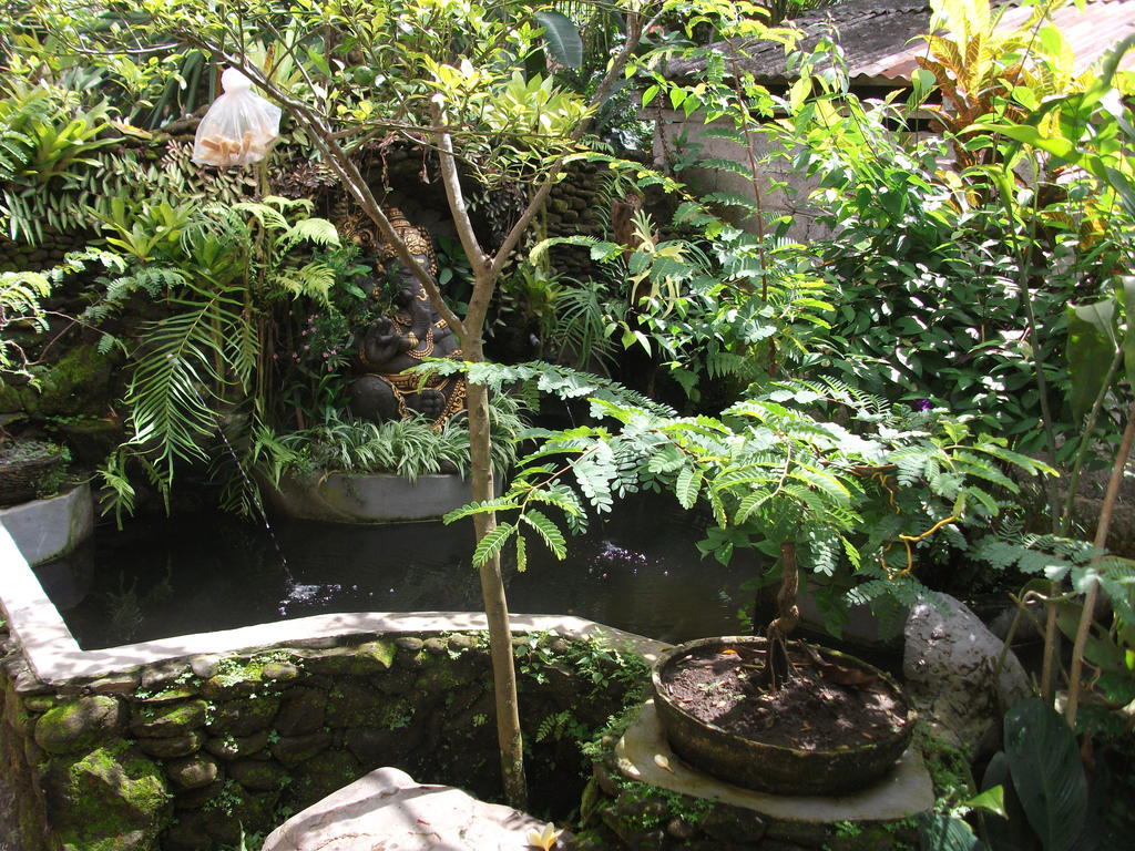 Arsa Homestay & Spa Ubud Buitenkant foto